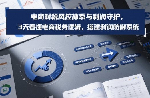 电商财税风控体系与利润守护，3天看懂电商税务逻辑，搭建利润防御系统-小酒源码