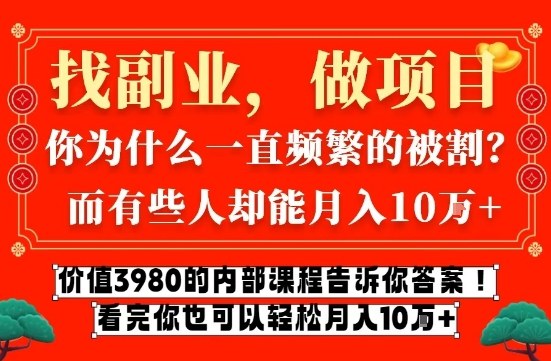 价值3980的网创内部课程，告诉你互联网创业月入10个W的秘密【揭秘】-小酒源码