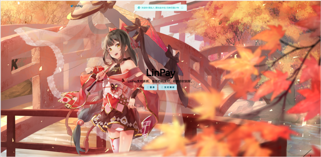 2024首发最新LinPay码支付免授权版，LinPay码支付官网，码支付，源支付-小酒源码