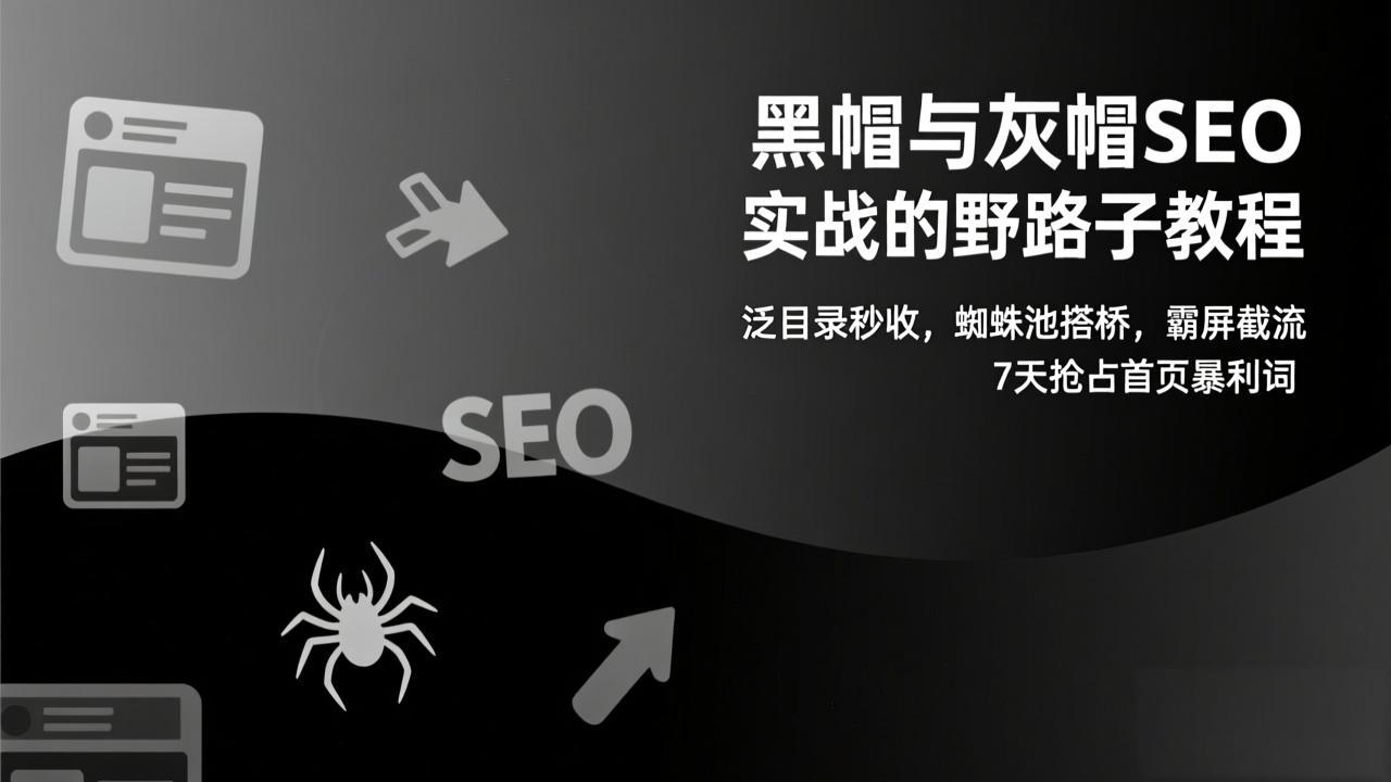 黑帽与灰帽SEO实战的野路子教程：泛目录秒收，蜘蛛池搭桥，霸屏截流，7天抢占首页暴利词-小酒源码